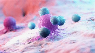 Cover image for research topic "New Insights in Veterinary Cancer Immunology"