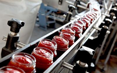 Cover image for research topic "Insights Into the Role of Microorganisms on Food Quality and Food Safety"