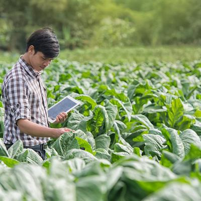 Cover image for research topic "Food of the Future: Underutilized Foods"