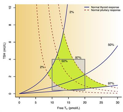 Cover image for research topic "Homeostasis and allostasis of thyroid function"