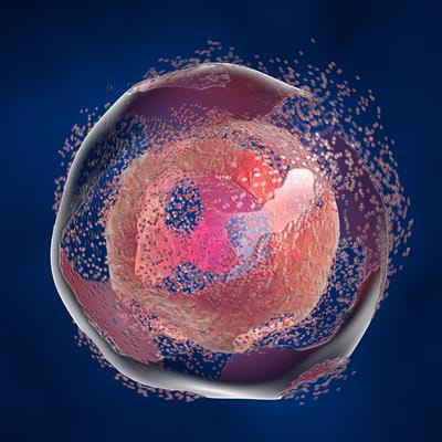 Cover image for research topic "Different Cell Death Modes in Cancer Treatment"