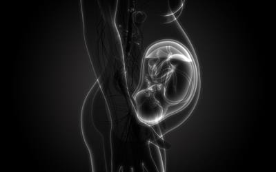 Cover image for research topic "Application of Gut Microbiota and its Metabolites in Prevention Strategies for Pregnancy Complications"