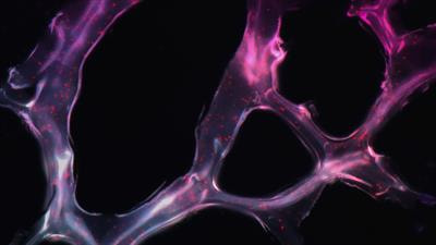 Cover image for research topic "Epigenetic Drugs and Therapeutic Resistance for Epithelial Malignancies"