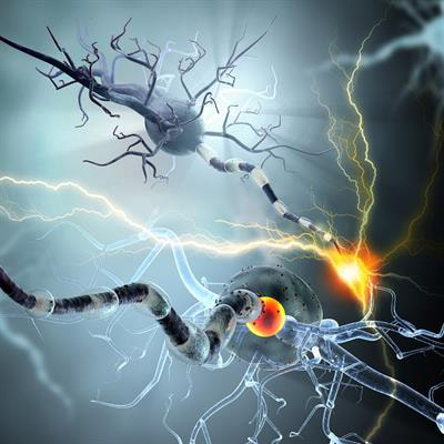 Cover image for research topic "Sudden Death In Epilepsy: Basic and Translational Research"