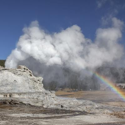 Cover image for research topic "13th International Congress on Extremophiles: From Extremophilic Biomolecules and Microorganisms to Biotechnological and Sustainable Applications"
