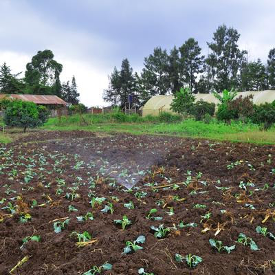 Cover image for research topic "Sustainable Intensification of Smallholder Farming Systems in Sub-Saharan Africa and South Asia"