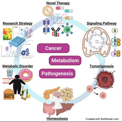 Cover image for research topic "Double-Edged Swords: Important Factors Connecting Metabolic Disorders and Cancer Development - From Basic Research to Translational Applications, volume II"