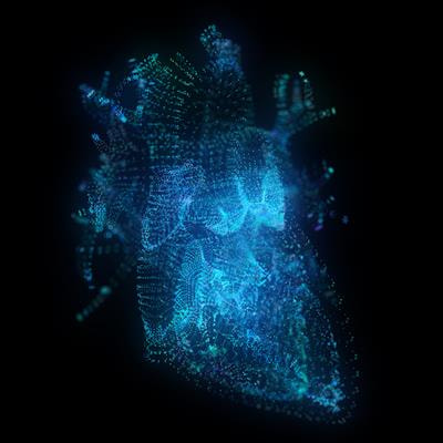 Cover image for research topic "Community Series in Psychocardiology: Exploring the Brain-Heart Interface, volume II"