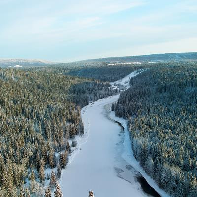 Cover image for research topic "Biomass and Carbon Stocks: Estimation, Monitoring, Verification and Management in Northern Hemisphere Temperate and Boreal Forest Ecosystems"