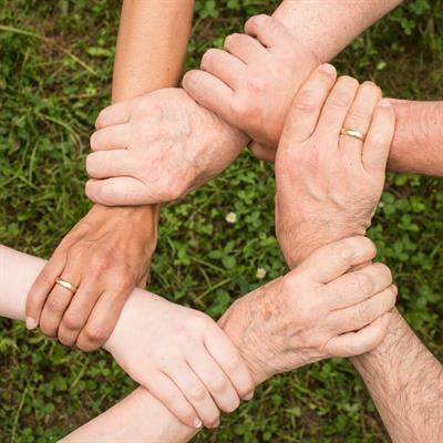 Cover image for research topic "Hidden Order Behind Cooperation in Social Systems"