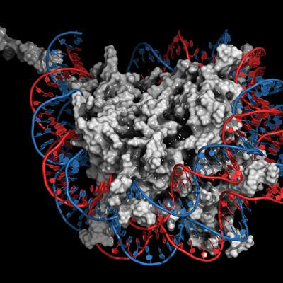 Cover image for research topic "Modern Machine Learning Approaches for Quantitative Inference of Gene Regulation from Genomic and Epigenomic Features"