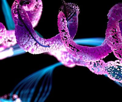 Cover image for research topic "Galectins and Hormones in Health and Disease"