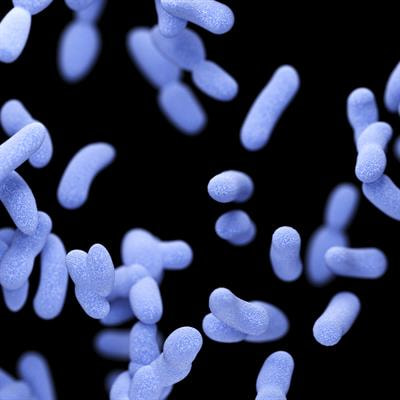 Cover image for research topic "Diversity and Functions in Microbiome Beyond Species Level"