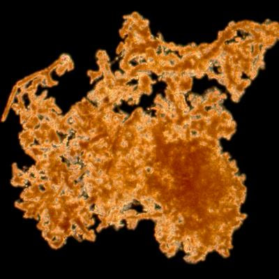 Cover image for research topic "Iron Metabolism and Biochemical Cycling Mediated by Microorganisms"
