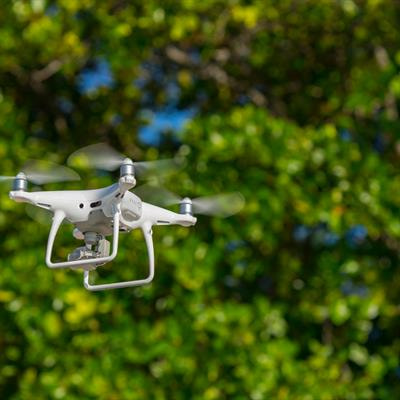 Cover image for research topic "Innovative Approaches in Remote Sensing for Sustainable Agriculture"