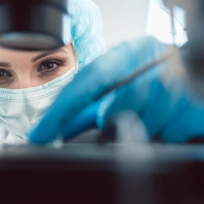 Cover image for research topic "In Celebration of Women in Molecular and Cellular Reproduction"