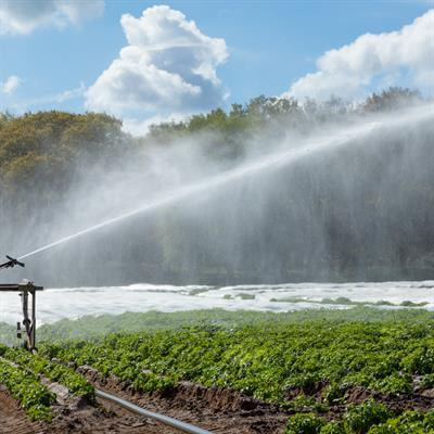 Cover image for research topic "Physiological Traits and Stress Detection in Crops During Global Climate Change: Availability and Sustainable Use of Water Resources"