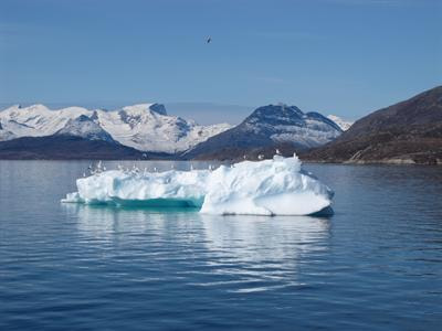 Cover image for research topic "Microbiology of the rapidly changing polar environments"