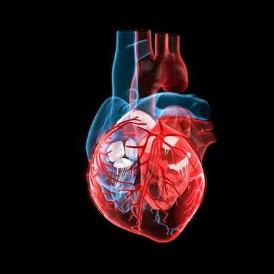 Cover image for research topic "Atrial Fibrillation: Selection of Management Strategy and Evaluation of Outcomes"