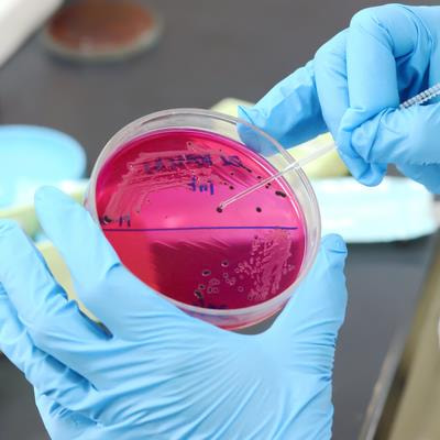 Cover image for research topic "Global Excellence in Pharmacology of Infectious Diseases: Australia and Asia"