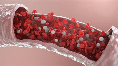 Cover image for research topic "Serum Uric Acid, Vascular Aging, and Endocrine Comorbidities"