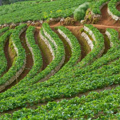 Cover image for research topic "Using the RE-AIM Framework and other Implementation Theories, Models, and Frameworks to guide the Implementation and Evaluation of Rural Health Innovations"