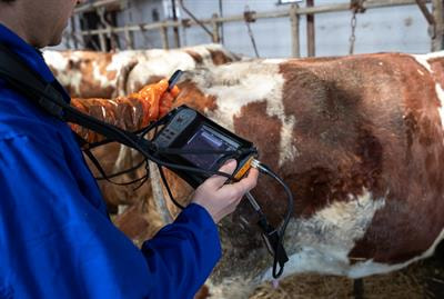 Cover image for research topic "Exploring the Application of Diagnostic Ultrasonography in Reproductive Veterinary Medicine"