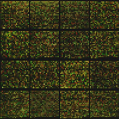 Cover image for research topic "Microbiomics in Food Security: Paradigm Shift in Omics"