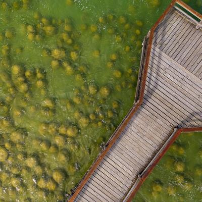 Cover image for research topic "Paleolimnology: Insights from Sedimentary Archives"