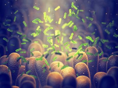 Cover image for research topic "Drug Metabolism and Transport: The Frontier of Personalized Medicine"
