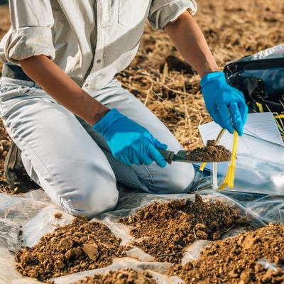Cover image for research topic "Mineral Solubilizing Microorganisms (MSM) and their Applications in Nutrient Bioavailability, Bioweathering and Bioremediation, Volume II"