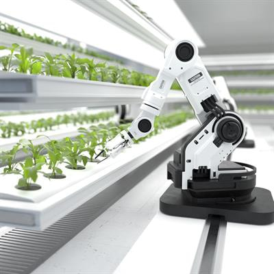 Cover image for research topic "Machine Vision and Machine Learning for Plant Phenotyping and Precision Agriculture"