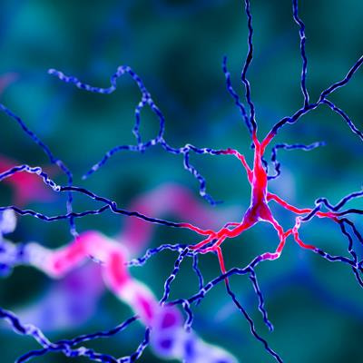 Cover image for research topic "Molecular and Epigenetic Mechanisms in Neuroinflammation and Neurodegeneration"