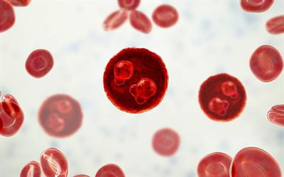 Cover image for research topic "Molecular Advances of Host-Parasite Associations in Wildlife"