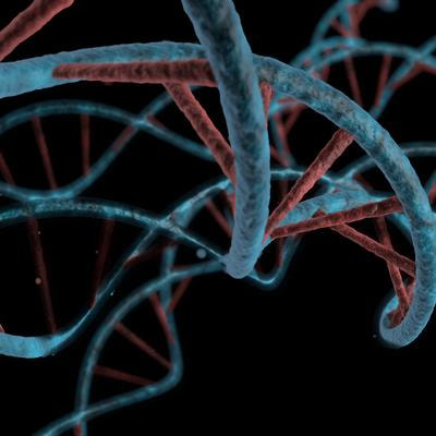 Cover image for research topic "Methods in Applied Genetic Epidemiology 2022"