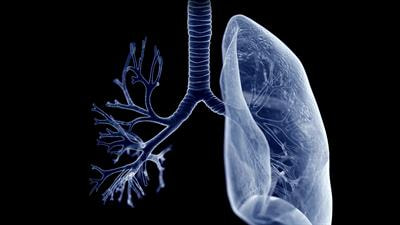 Cover image for research topic "Drug or Poison Related Pulmonary Fibrosis and Its Prevention"