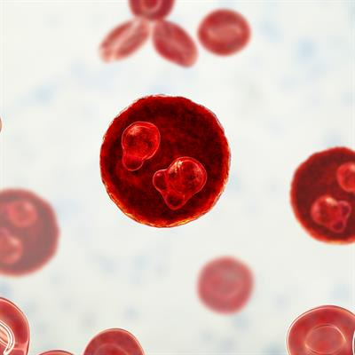 Cover image for research topic "Advancement in Malaria Treatment"