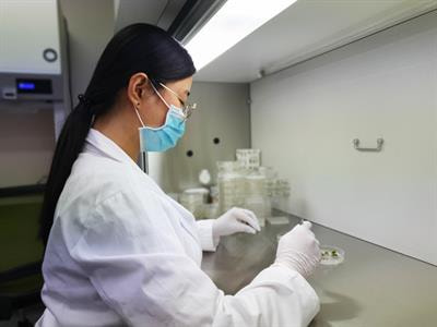 Cover image for research topic "Omics technology in agriculture: molecular breeding for sustainable crop production"