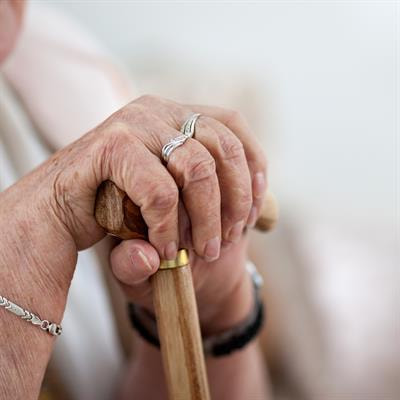 Cover image for research topic "Impact of Apathy on Aging and Age-related Neuropsychiatric Disorders"