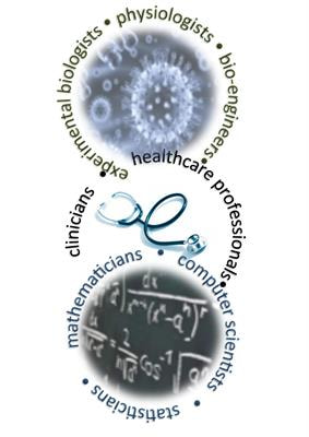 Cover image for research topic "Mathematics for Healthcare as Part of Computational Medicine"