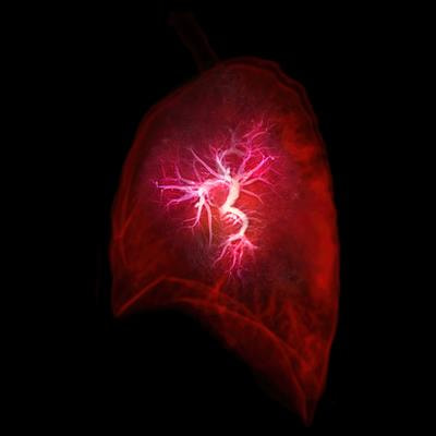 Cover image for research topic "A year in review: Discussions in Pulmonary Medicine"