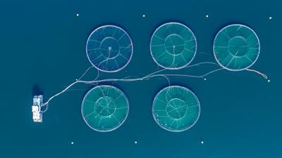 Cover image for research topic "Offshore Aquacultural Engineering and Its Interaction with the Marine Environment"
