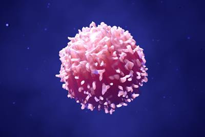 Cover image for research topic "Key Players of the Immune System in Skin Inflammation – Allergy and Autoimmunity"