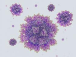 Cover image for research topic "Impact of the Sars-Cov-2 Pandemic on the Evolution and Epidemiology of Other Viruses"