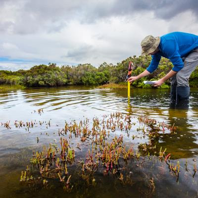 Cover image for research topic "Wetland Ecology and Biogeochemistry Under Natural and Human Disturbance- Volume II"