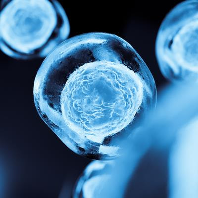 Cover image for research topic "Genome Editing in Stem Cells"