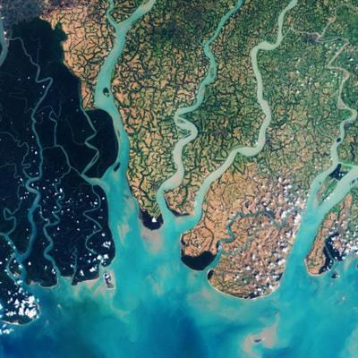 Cover image for research topic "The Relationship between Climate Change and Species Distribution"