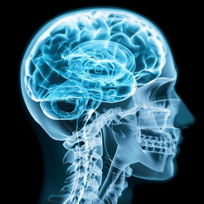 Cover image for research topic "Trends in Neurocritical Care"
