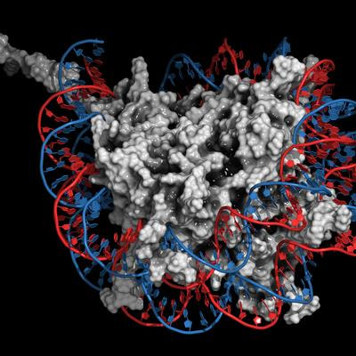 Cover image for research topic "Epigenetic and Gene Regulation Underlying Crosstalk in Plant Development and Stress Responses"