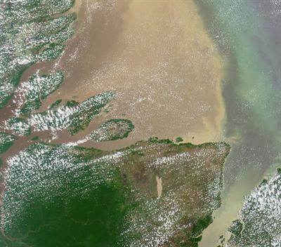 Cover image for research topic "Integrative Research on Organic Matter Cycling Across Aquatic Gradients"